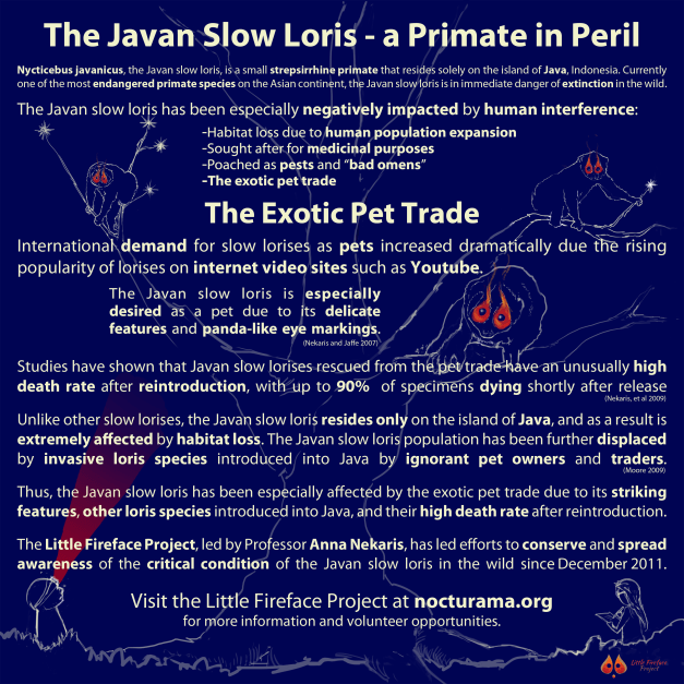 Progers_SlowLorisPosterDraft2.png
