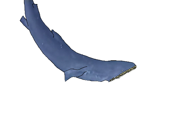 The rough stone grinding gently against thy tongue