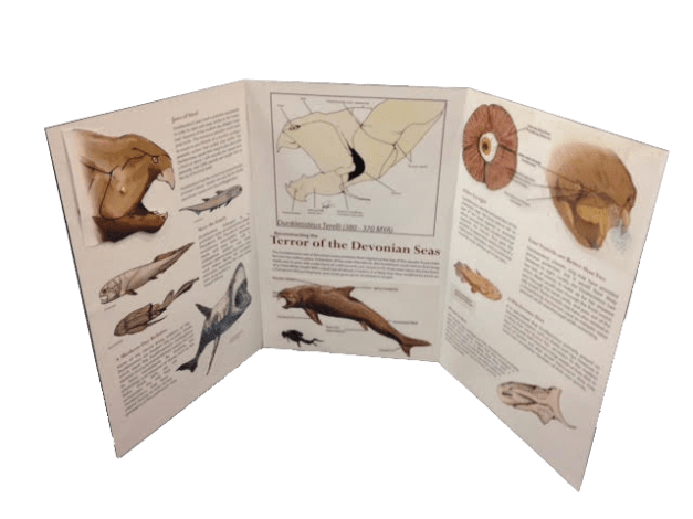 presentation on coelacanth